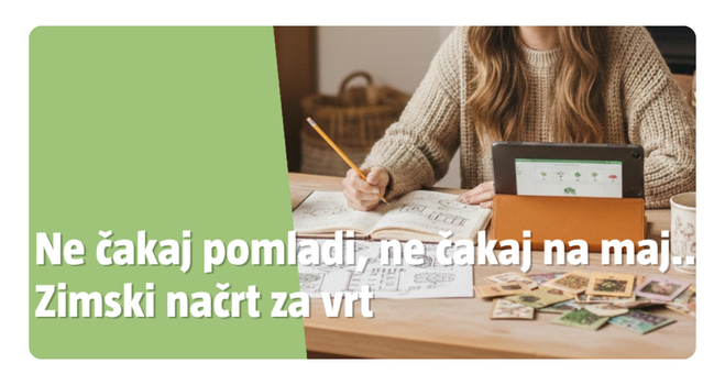 Zimski načrt za vrt