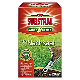 Substral Nachsaat-Rasen (0,4 kg, 17 m² - 20 m²)