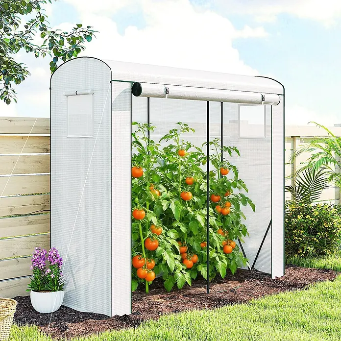 Outsunny-Gewächshaus-200L x 75B x 188H cm -  - Kleines weißes Gewächshaus mit Rolltor, Netzfenstern und Tomatenpflanzen im Garten.