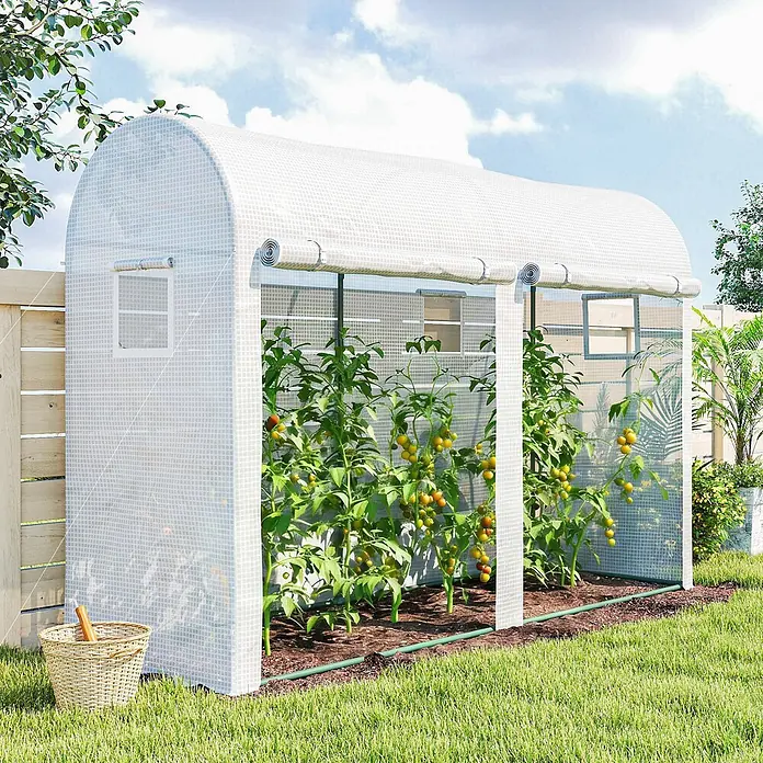 Outsunny-Foliengewächshäus-300L x 100B x 200H cm -  - Ein weißes, transluzentes Tunnel-Gewächshaus mit aufrollbaren Fenstern, gefüllt mit Tomatenpflanzen, in einem sonnigen Garten.