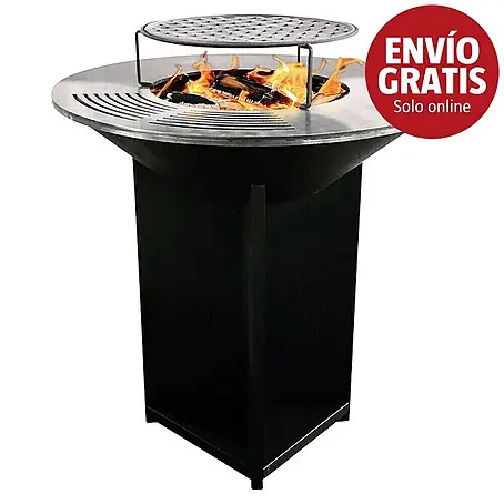 Purline Barbacoa de carbón EFP56B