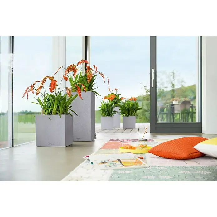 Lechuza Color Pflanzsäule eckig Canto - Außenmaß (L x B x H): 30 x 30 x 56 cm, Kunststoff, Steingrau - Nahaufnahme von Lechuza Pflanzgefäßen mit bunten Pflanzen in einem hellen Raum, der ein gemütliches Ambiente schafft.