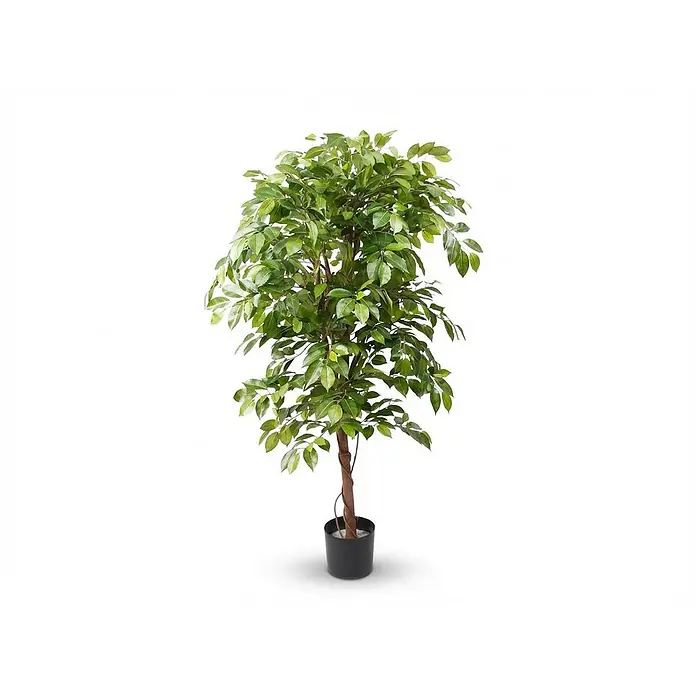 Ficus Ranke -  - Künstlicher grüner Ficusbaum mit braunem Stamm in einem schwarzen Topf.