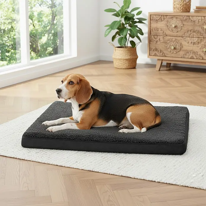 belviona Hundebett 91x69 cm, orthopädisch, Bezug waschbar, schwarz -  - Ein Beaglehund liegt bequem auf einem anthrazitfarbenen, strukturierten Hundebett.
