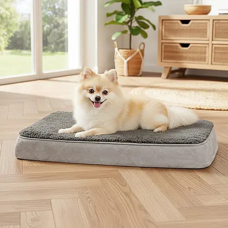 belviona Hundebett 60x40 cm, orthopädisch, Bezug waschbar, anthrazit
