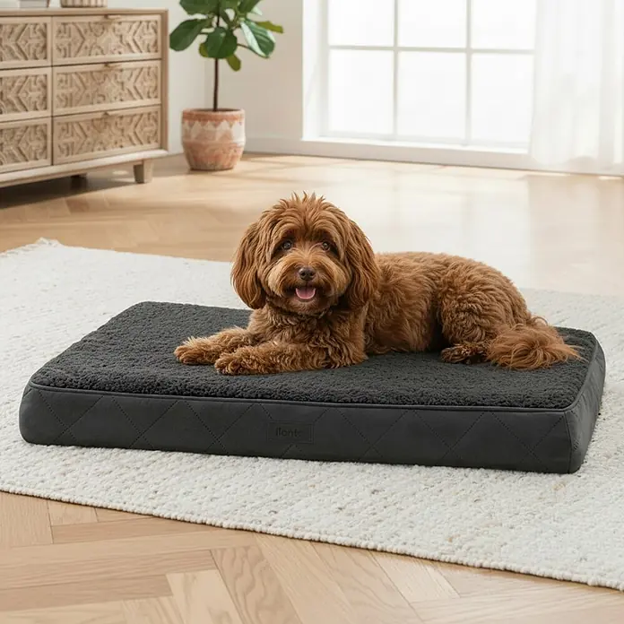 belviona Hundebett 76x51 cm, orthopädisch, Bezug waschbar, schwarz -  - Ein brauner Hund liegt bequem auf einem grauen Hundebett mit flauschiger Oberseite und gesteppten Seiten.