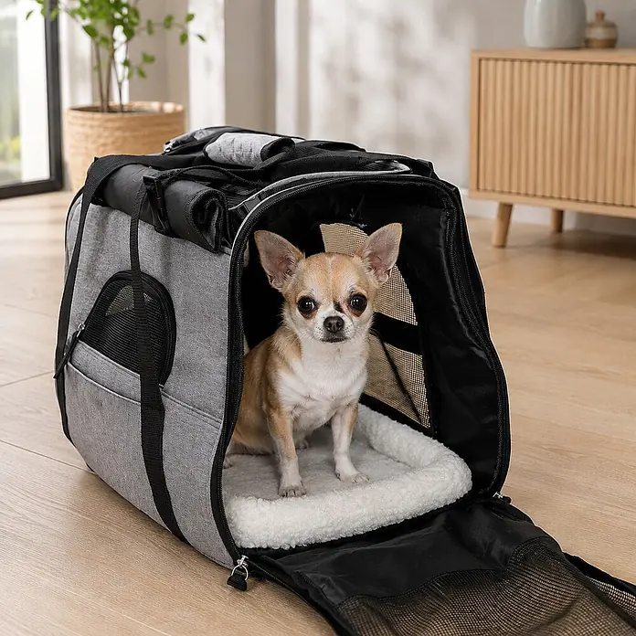 belviona Haustier-Tragetasche für Katzen & kleine Hunde bis 10 kg, grau -  - Graue weiche Haustiertragetasche mit einem Chihuahua-Hund darin, der bequem auf einem flauschigen weißen Bett sitzt.