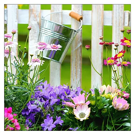 Glasbild