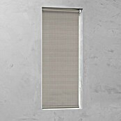 Expo Ambiente Zatemnitveni rolo Nicole  (Š x V: 60 x 190 cm) | 6443 - Textil-Rollos | HDDA - Fenster-Sonnenschutz | HDD - Sonnenschutz | HD - Ambiente | H - Innendeko/Farben | BAUHAUS
