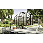 Vitavia Gewächshaus (2,58 x 2,57 x 2,46 m, Farbe: Schwarz, Polycarbonat, 6 mm)
