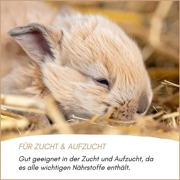 Supravit Hasenfutter - Alleinfutter für Hasen & Kaninchen 2,5kg -  - Junges Kaninchen auf Stroh. Das Produkt ist für Zucht & Aufzucht geeignet und enthält alle wichtigen Nährstoffe.