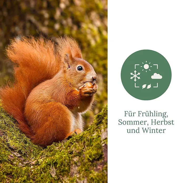 Orni Eichhörnchenfutter 1kg Alleinfutter für Eichhörnchen -  - Werbegrafik: Eichhörnchen isst Nuss; Text 'Für Frühling, Sommer, Herbst und Winter' mit Jahreszeiten-Symbolen.