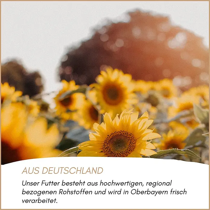Supravit Igelfutter mit Insekten 5kg - Alleinfutter für Igel -  - Ein sonnenverwöhntes Sonnenblumenfeld mit Text über hochwertiges, regionales deutsches Futter.