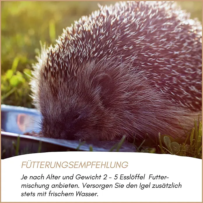 Supravit Igelfutter mit Insekten 5kg - Alleinfutter für Igel -  - Igel frisst aus einer Futterschale im Gras, begleitet von Fütterungsempfehlungen.