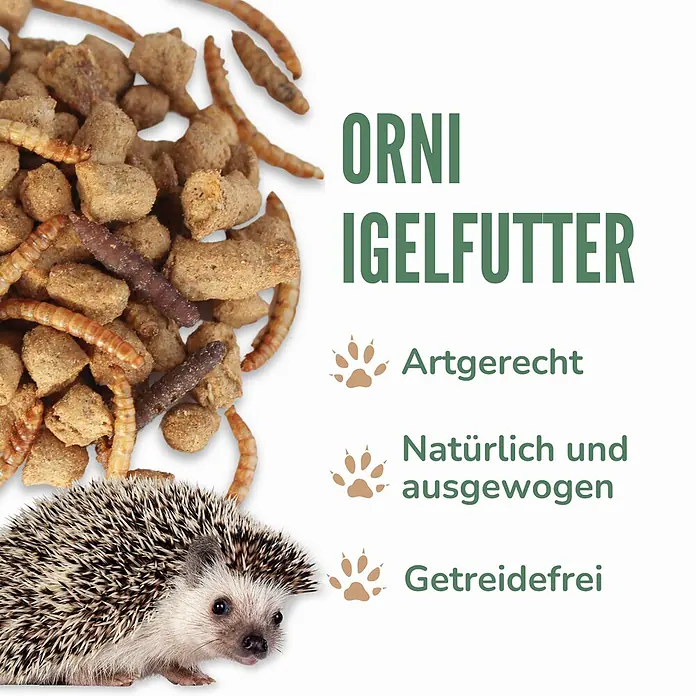 Orni Igelfutter 1kg – Getreidefreies Futter für Igel -  - Igelfutter aus Kroketten, Mehlwürmern und Trockeninsekten, neben einem Igel. Artgerecht, natürlich, ausgewogen & getreidefrei.