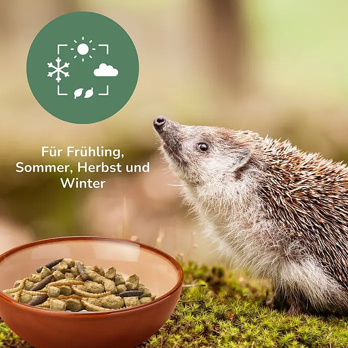 Orni Igelfutter 1kg – Getreidefreies Futter für Igel -  - Braune Schale mit Igelfutter, bestehend aus Kroketten und getrockneten Insekten, für alle Jahreszeiten.