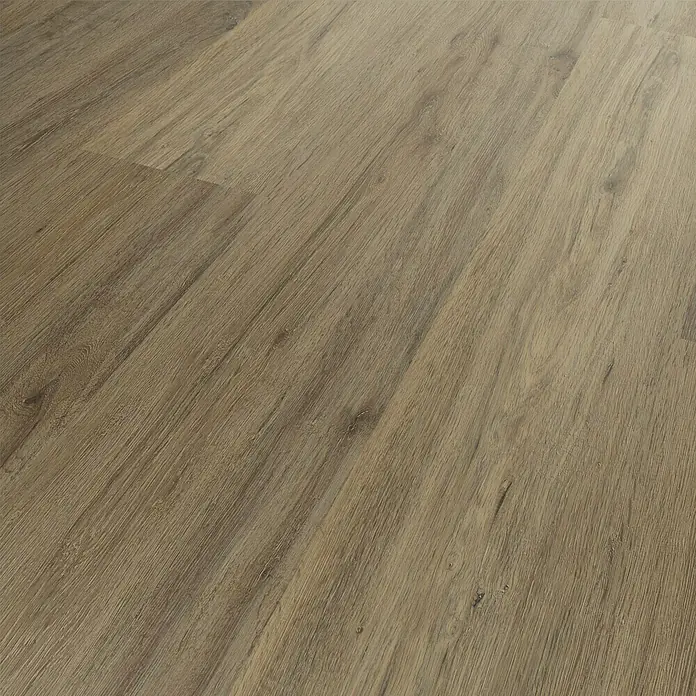 Vinylboden Sly XL - Edinburgh Oak, Landhausdiele, 1.510 x 220 x 7,5 mm - Nahaufnahme von hellbraunem Laminatboden, der eine natürliche Holzstruktur und ein modernes Design aufweist. Perfekt für stilvolle Innenräume.