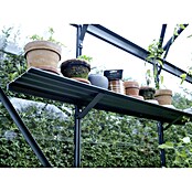 Vitavia Wandregal (15 x 122 cm, Smaragd)