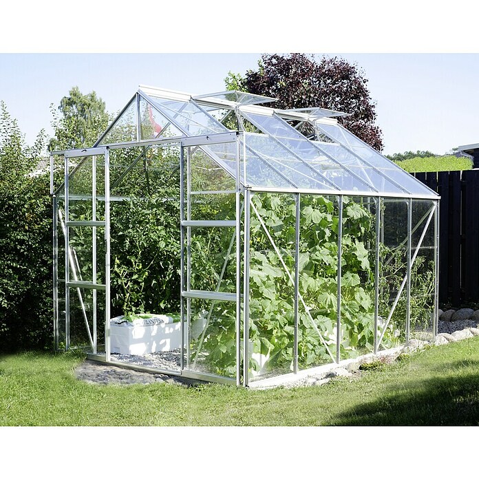 Vitavia Gewächshaus (3,21 x 2,57 x 2,46 m, Farbe: Aluminium, Einscheibensicherheitsglas (ESG), 3 mm)