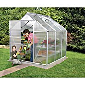 Vitavia Gewächshaus (1,95 x 1,95 x 1,97 m, Farbe: Silbergrau, Polycarbonat, 4 mm)