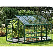 Vitavia Gewächshaus Venus 6200 Plus (3,21 x 1,95 x 1,97 m, Farbe: Smaragd, Einscheibensicherheitsglas (ESG), 3 mm)