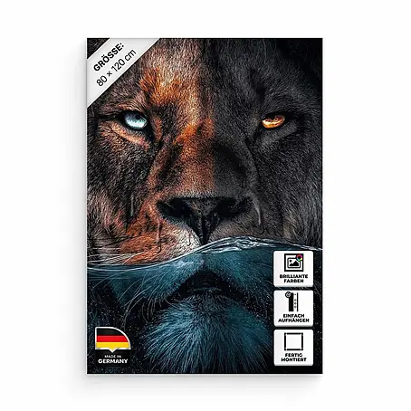 Hustling Sharks Leinwandbild Underwater Lion, B x H: 80 x 120 cm