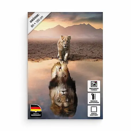 Hustling Sharks Leinwandbild Lion Reflection, B x H: 80 x 120 cm