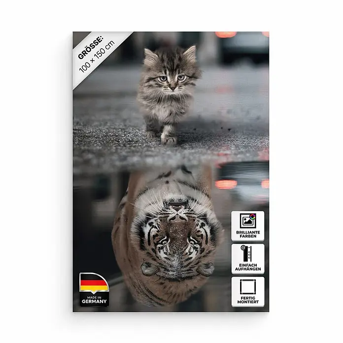 Hustling Sharks Leinwandbild Cat Reflection, B x H: 100 x 150 cm -  - Leinwandbild mit Kätzchen und Tigerreflexion, 100 x 150 cm.
