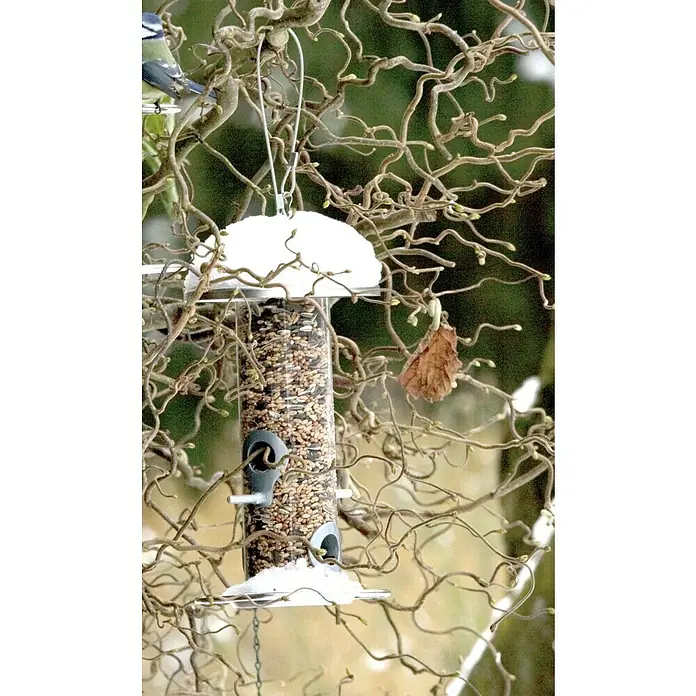 Dobar Futtersäule - Ø x H: 14 x 26 cm, Metall, Silber - Eine klare Vogeltränke gefüllt mit Vogelfutter, aufgehängt in einem Baum mit verdrehten Ästen, teilweise mit Schnee bedeckt.