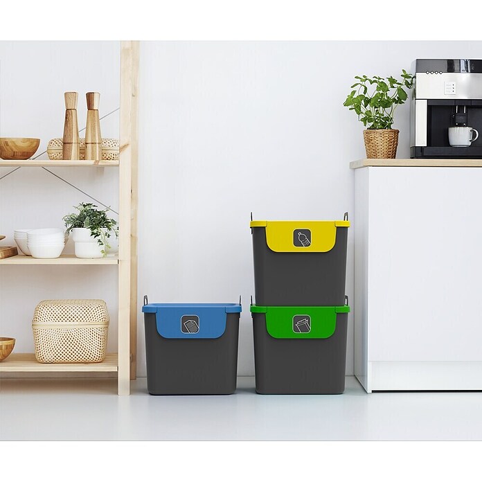 Rotho Mülltrennsystem 3er Set Jive (Gesamt Fassungsvermögen: 30 l, Kunststoff, Grün/Gelb/Blau) | BAUHAUS