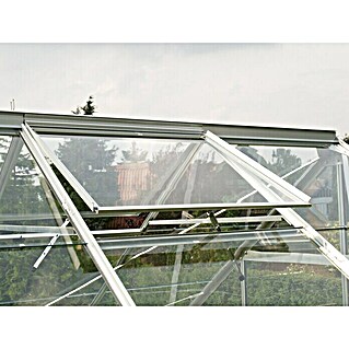 Vitavia Belüftungsfenster (Aluminium, Passend für: Vitavia Gewächshaus Venus/Uranus/Merkur/Mars/Cassandra/Apollo)