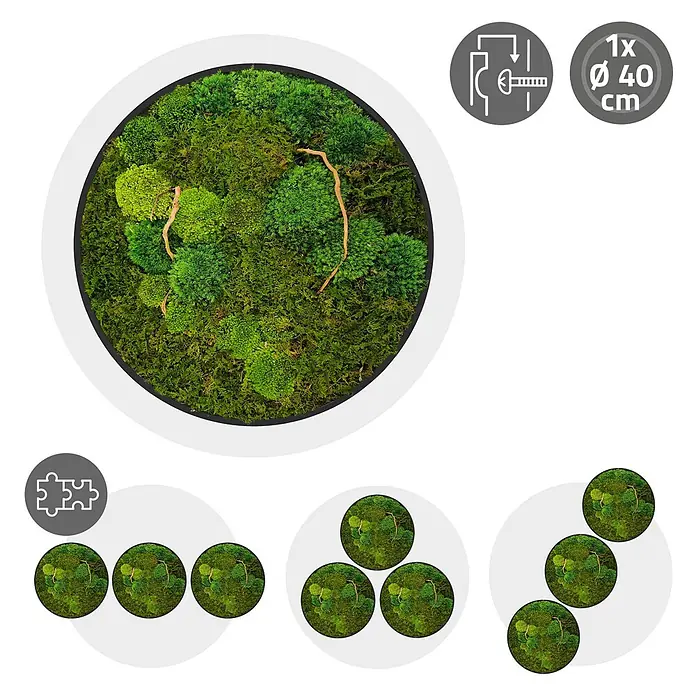 Moosbild Rund Ø40 cm Mooswand Indoor echtes Moos-Mix Holzäste gerahmt -  - Rundes Moos-Wandbild (40 cm Durchmesser) mit Naturmoos und Ast, Schraubmontage-Symbol. Kleinere Mooskreise gezeigt.
