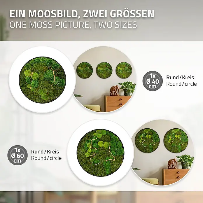 Moosbild Rund Ø40 cm Mooswand Indoor echtes Moos-Mix Holzäste gerahmt -  - Rundes Moosbild in zwei Größen (40 cm und 60 cm Durchmesser), in Wohnräumen präsentiert.