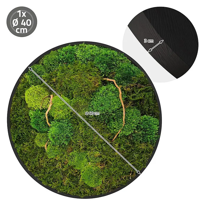 Moosbild Rund Ø40 cm Mooswand Indoor echtes Moos-Mix Holzäste gerahmt -  - Rundes Moosbild, 40 cm Durchmesser, 3 cm tief, schwarzer Rahmen, vielfältiges grünes konserviertes Moos und Naturakzente.