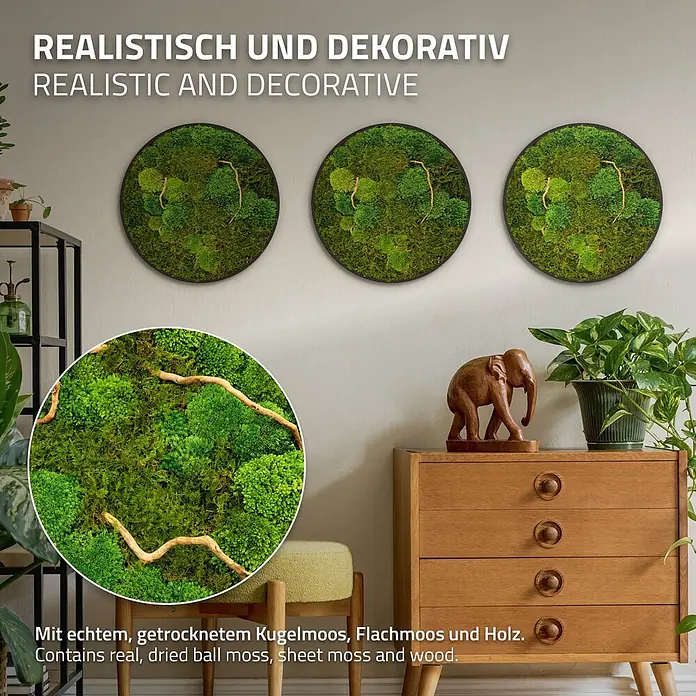 Moosbild Rund Ø40 cm Mooswand Indoor echtes Moos-Mix Holzäste gerahmt -  - Drei runde Wandbilder aus konserviertem Moos und Holzästen, naturgetreu und dekorativ.
