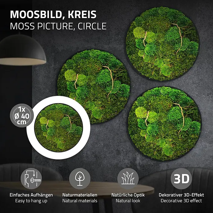 Moosbild Rund Ø40 cm Mooswand Indoor echtes Moos-Mix Holzäste gerahmt -  - Drei runde Moosbilder (40cm Durchmesser) mit natürlichem 3D-Effekt, in einer dunklen Raumatmosphäre an der Wand dekoriert.