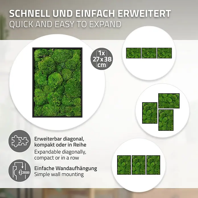 Moosbild Rechteck 38 x 27 cm Mooswand Indoor echte Kugelmoos gerahmt -  - Grüner Moosbilderrahmen mit schwarzem Rahmen, erweiterbar und einfach an der Wand zu befestigen.