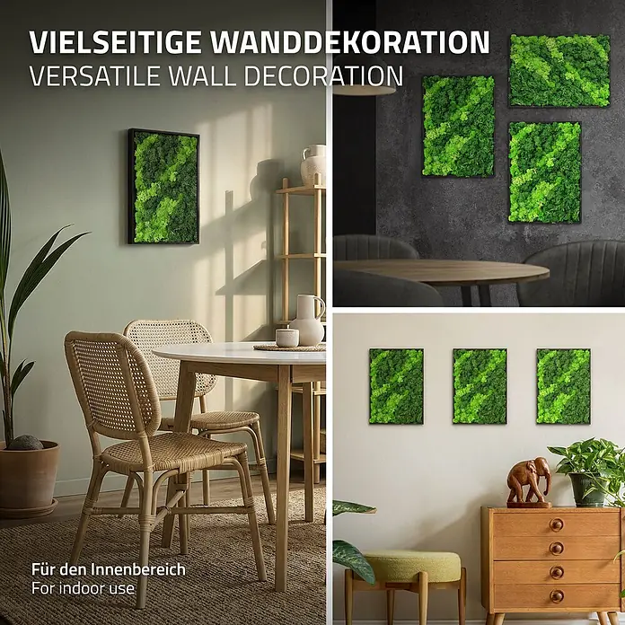Moosbild Rechteck 38 x 27 cm Mooswand Indoor echte Islandmoos gerahmt -  - Grüne gerahmte künstliche Moos-Wanddekorationen in verschiedenen Innenräumen, Vielseitigkeit und den Innenbereich betonend.