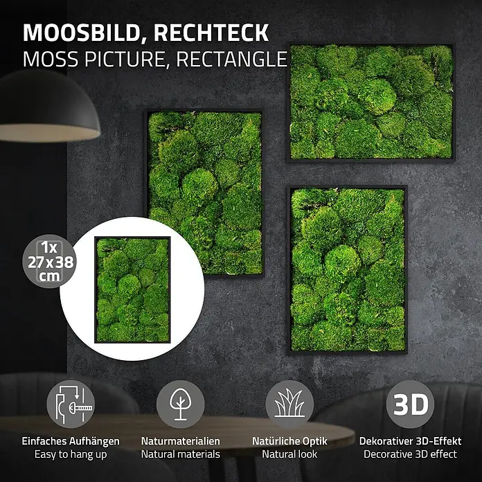 Moosbild Rechteck 38 x 27 cm Mooswand Indoor echte Kugelmoos gerahmt -  - Rechteckige Moosbilder aus Naturmaterialien, dekorativ an einer dunklen Wand angebracht, bieten eine natürliche Optik und 3D-Effekt.