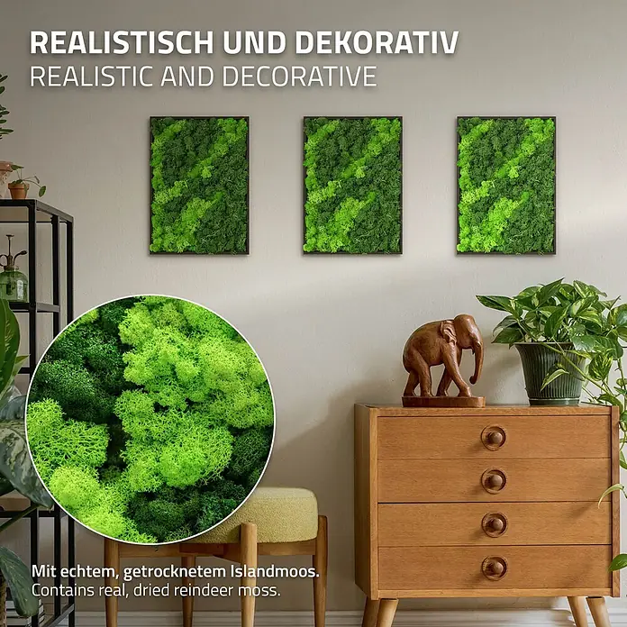 Moosbild Rechteck 38 x 27 cm Mooswand Indoor echte Islandmoos gerahmt -  - Drei rechteckige Rahmen mit grünem Moos schmücken eine Wand in einem stilvollen Raum. Nahaufnahme zeigt die Textur von echtem, getrocknetem Islandmoos.