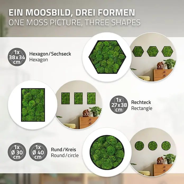 Moosbild Rechteck 38 x 27 cm Mooswand Indoor echte Kugelmoos gerahmt -  - Ein grünes Moosbild, erhältlich in sechseckiger, rechteckiger und runder Form, mit Größenangaben.