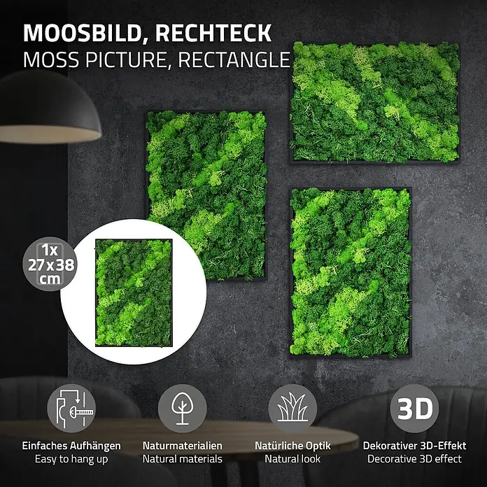 Moosbild Rechteck 38 x 27 cm Mooswand Indoor echte Islandmoos gerahmt -  - Rechteckige, grüne Moosbilder für die Wanddekoration, die Naturmaterialien und einen 3D-Effekt zeigen.