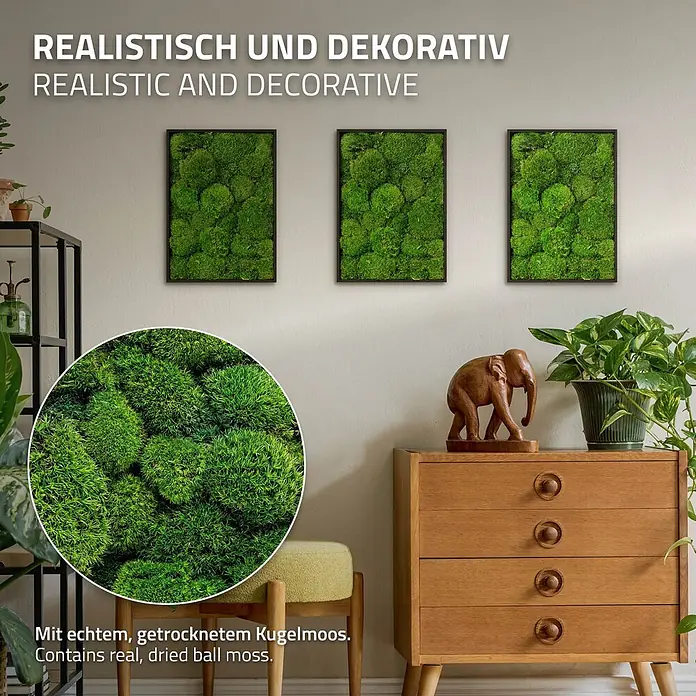 Moosbild Rechteck 38 x 27 cm Mooswand Indoor echte Kugelmoos gerahmt -  - Drei gerahmte Moosbilder schmücken eine Wand über einem Holzschrank. Aus echtem, getrocknetem Kugelmoos sind sie realistisch und dekorativ.