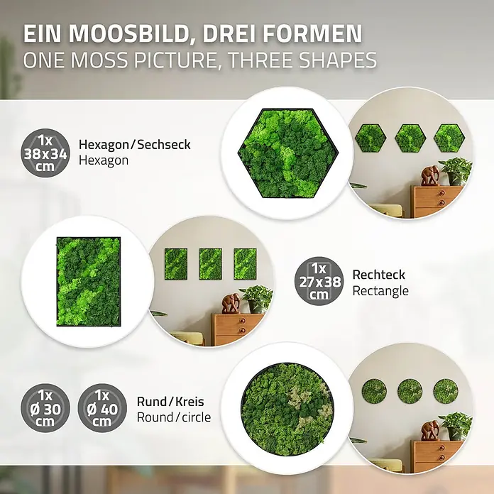 Moosbild Rund Ø 40 cm Mooswand Indoor mit echtem Islandmoos Holzrahmen -  - Drei grüne Moosbilder in verschiedenen Formen (Sechseck, Rechteck, Kreis) als stilvolle Wanddekoration.