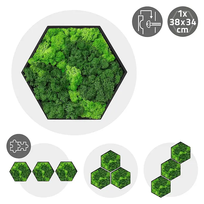 Moosbild Hexagon 38x34cm Mooswand Indoor mit echtem Islandmoos gerahmt -  - Sechseckiges Moosbild mit grünem Konservierungsmoos und schwarzem Rahmen, zeigt modulare Anordnung und Aufhänge-Symbol.