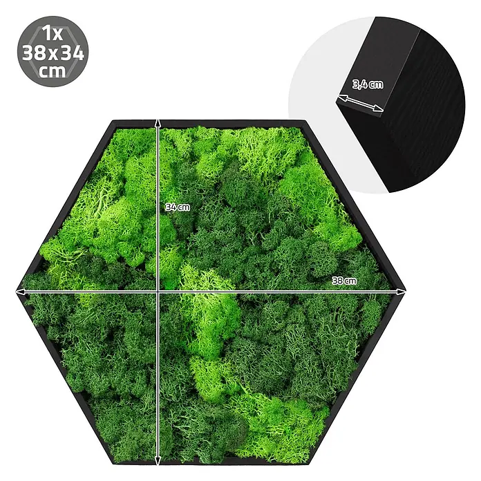 Moosbild Hexagon 38x34cm Mooswand Indoor mit echtem Islandmoos gerahmt -  - Sechseckiges Moosbild mit grünem Moos und schwarzem Rahmen, 38x34 cm, 3,4 cm tief.