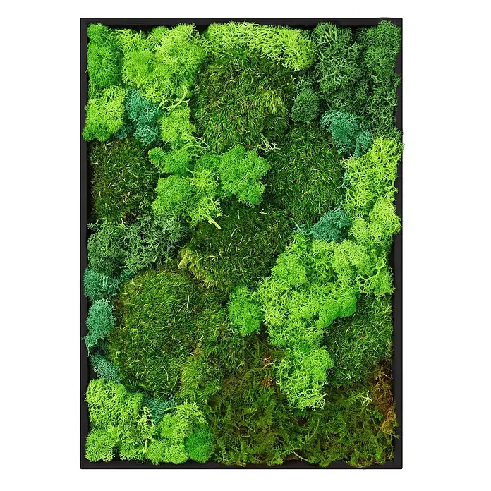 Moosbild Rechteck 38x27 cm Mooswand Indoor mit echtem Moos-Mix gerahmt -  - Gerahmtes Wandbild mit einer lebendigen, vielseitigen Anordnung aus konserviertem grünem Moos in verschiedenen Schattierungen.