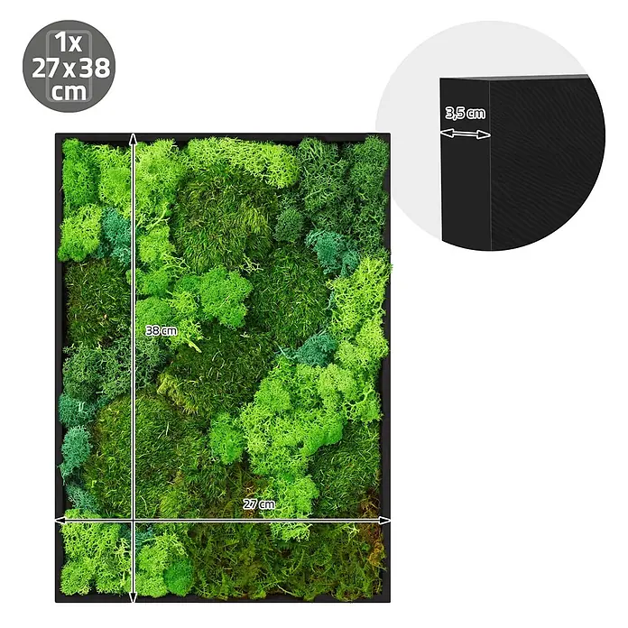 Moosbild Rechteck 38x27 cm Mooswand Indoor mit echtem Moos-Mix gerahmt -  - Rechteckiges grünes Moosbild mit schwarzem Rahmen, 27x38 cm groß und 3,5 cm tief.