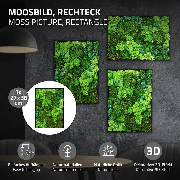 Moosbild Rechteck 38x27 cm Mooswand Indoor mit echtem Moos-Mix gerahmt -  - Moosbild, rechteckig, grün. Mehrere Bilder an dunkler Wand, eines in 27x38 cm gezeigt.