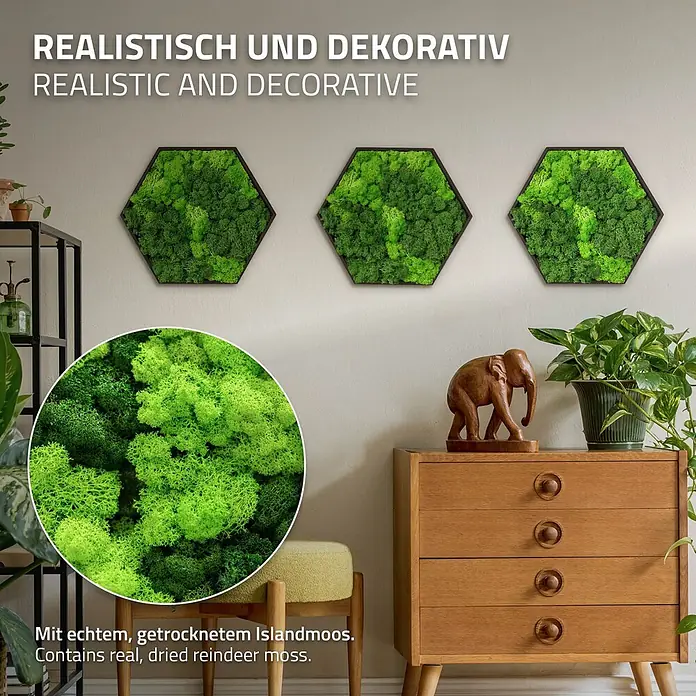 Moosbild Hexagon 38x34cm Mooswand Indoor mit echtem Islandmoos gerahmt -  - Drei sechseckige Rahmen mit leuchtend grünem Rentier-Moos als Wanddeko. Nahaufnahme der Moos-Textur.